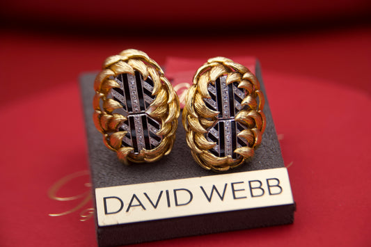 David Webb Earrings
