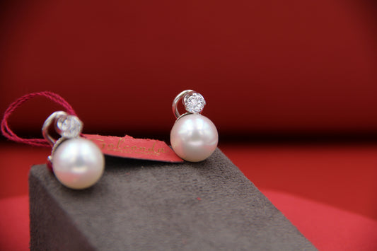 Australian pearl earrings