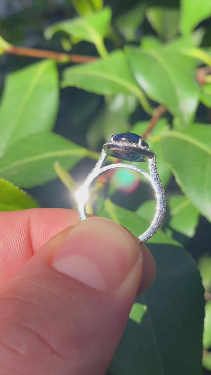 Anello modello "HALO" zaffiro  naturale "NO HEAT"